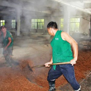 喚醒兩千余條窖池，新的釀酒季由此開始